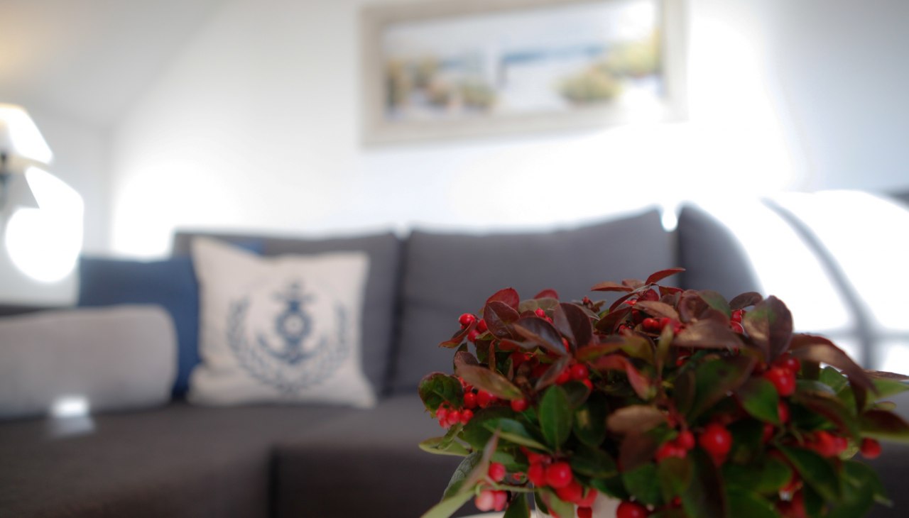 Kapitein Pahlen vakantieoord, © Captain Pahlen Ferienanlage Kapitein Pahlen vakantieoord, © Captain Pahlen Ferienanlage