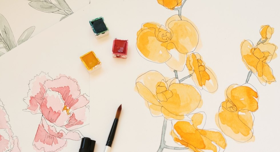 IMG_20240117_173129, &copy; Belinda Martens