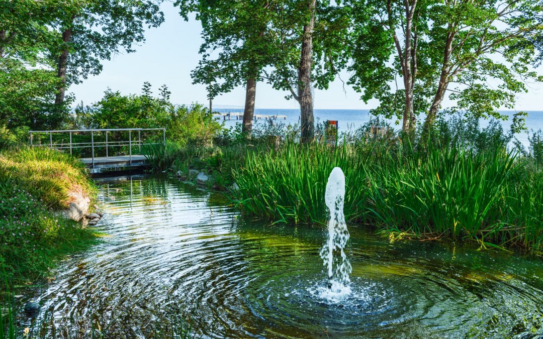 De Kneipp-tuin in de kustplaats aan de Oostzee in Göhren is een oase van rust., © TMV/Tiemann