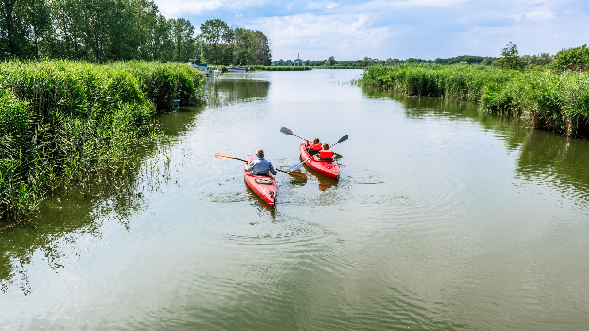 Dzieci wiosłujące z ojcem na Achterwasser w czerwonych kajakach.