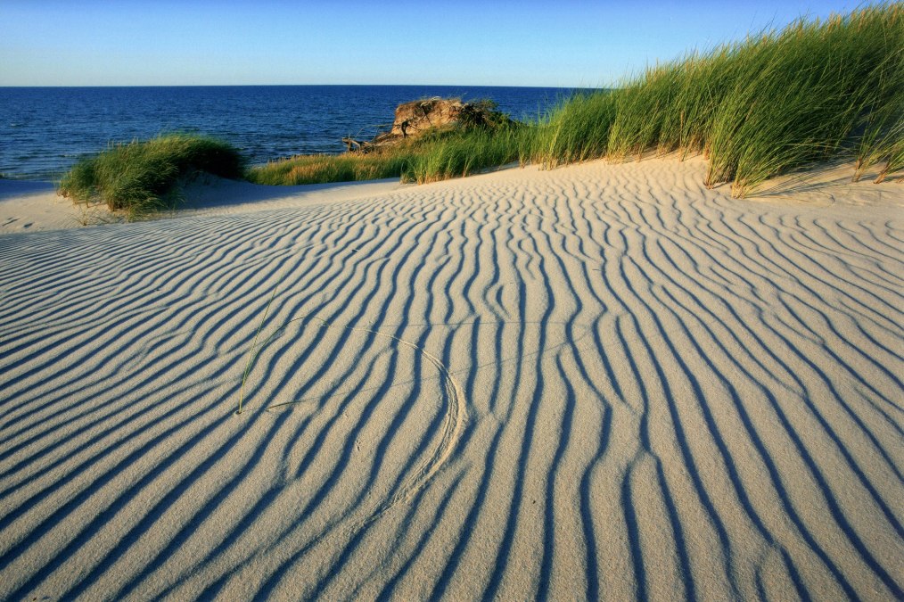 Plaża i wydmy, © Jürgen Reich/ NPA