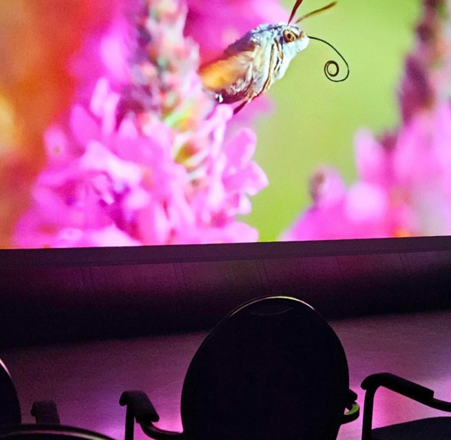 Bioscoopzaal in het M&uuml;ritzeum // &copy; K.Franz/M&uuml;ritzeum
