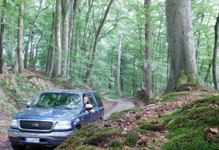 Hollow way near Dudendorf in the Recknitz valley // © Oliver Hellweg Hollow way near Dudendorf in the Recknitz valley // © Oliver Hellweg