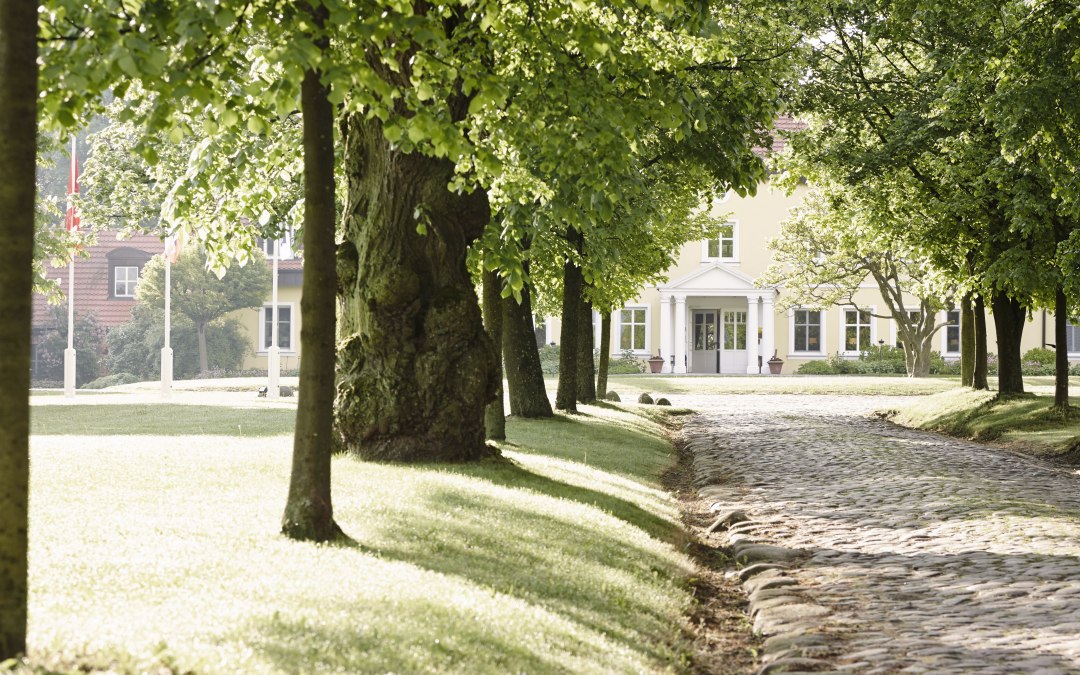 Welkom - Oprijlaan en laan naar het landhuis Stolpe, © Gutshaus Stolpe
