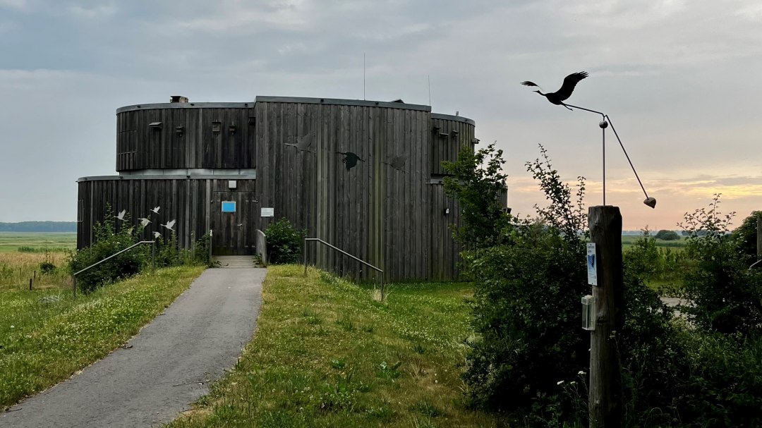 Cranorama_TV FDZ_Klutta, © TV FDZ_Klutta