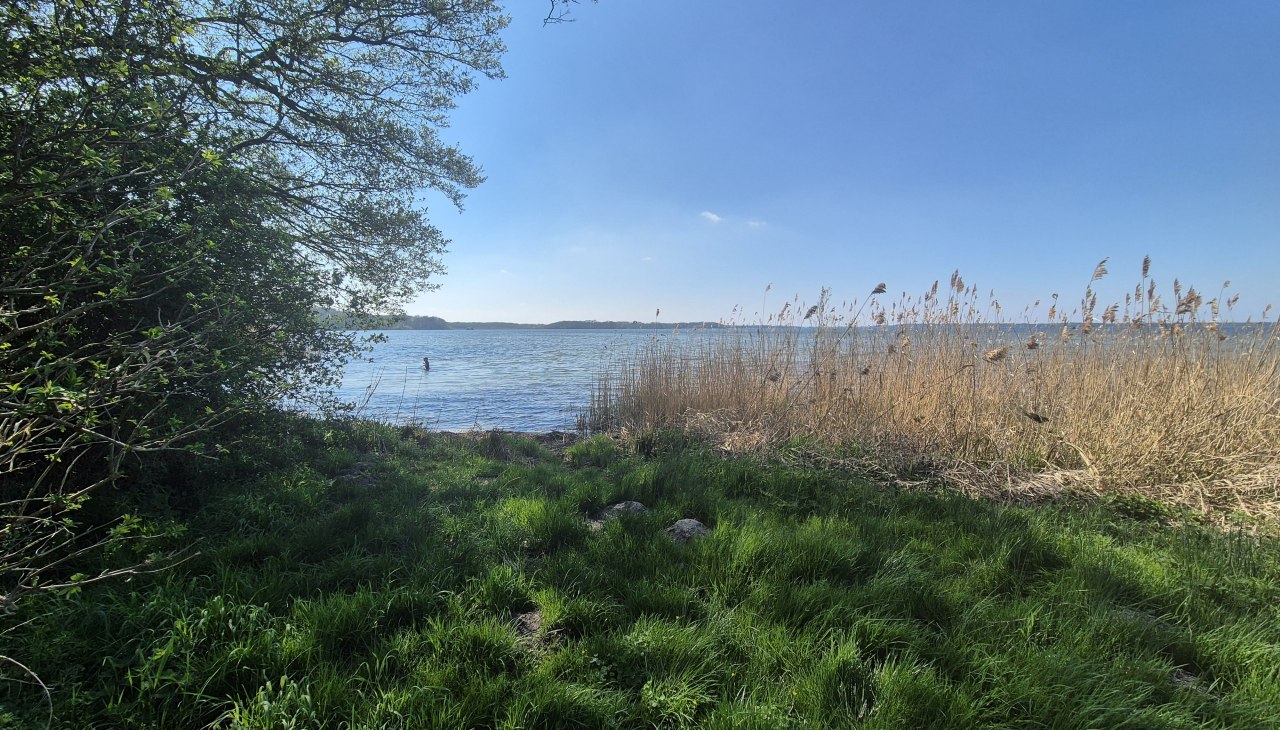 20250420_150957, © Gina Schulenberg 20250420_150957, © Gina Schulenberg