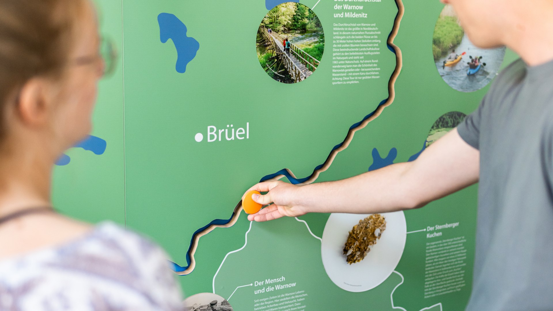 Before exploring the Sternberger Seenland Nature Park, it is best to visit the Nature Park Center in Warin. The interactive exhibition provides a comprehensive insight into the flora and fauna., © TMV/Gross Interactive at an exhibition in the nature park center in Warin