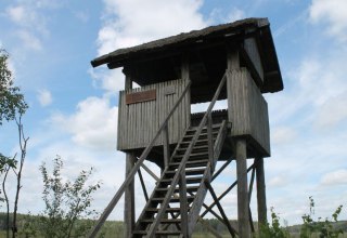 Aussichtsturm Gro&szlig;er Serrahnsee // &copy; MV-T/Bodieschek