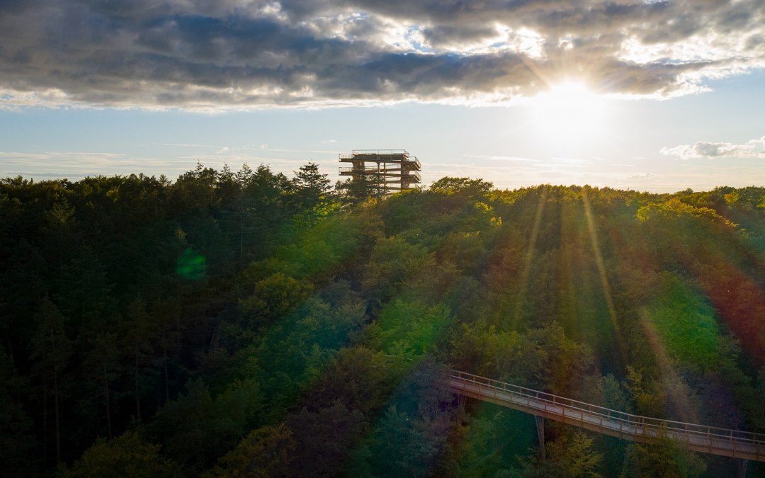 De boomkroonwandeling in Usedom is in elk jaargetijde een aantrekkelijke bestemming voor een uitstapje., © Erlebnis Akademie AG/Baumwipfelpfad Usedom