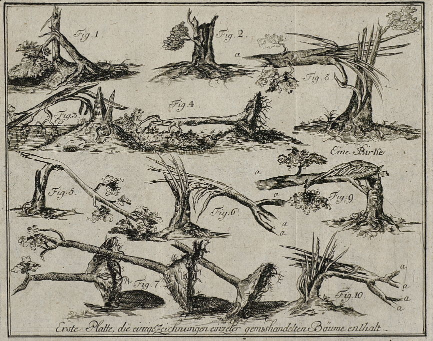 &copy; Landesbibliothek Mecklenburg-Vorpommern G&uuml;nther Uecker