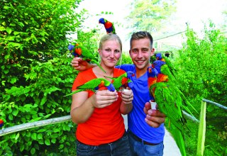 Bezoekers kunnen de Australische lori's voeren, © Vogelpark Marlow/Zöger
