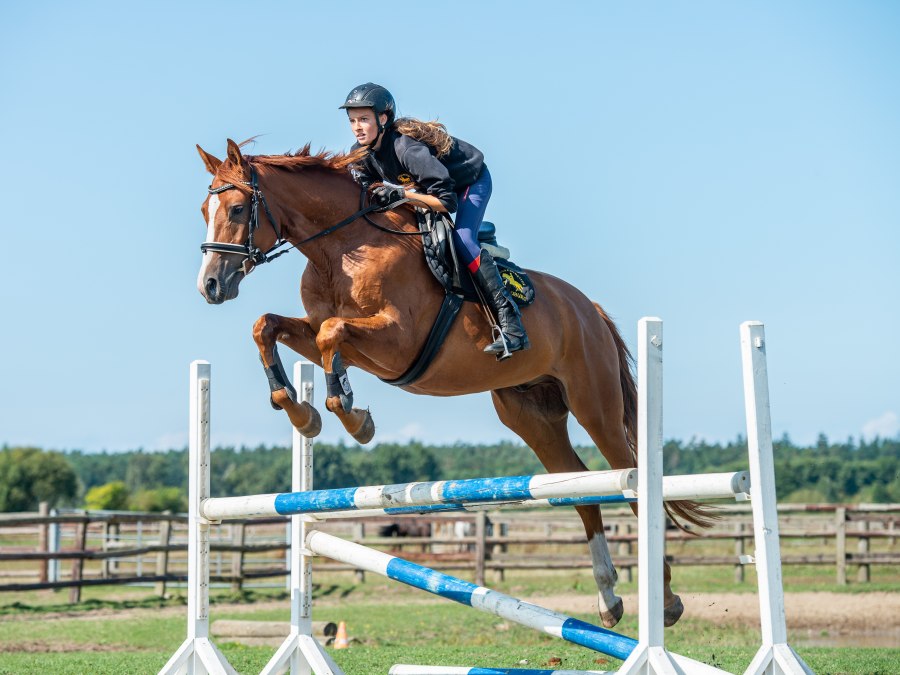 amber rider sale2018_boriskownatzki_061, © bernsteinreiter