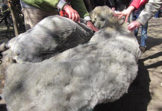 &copy; Hansestadt Stralsund