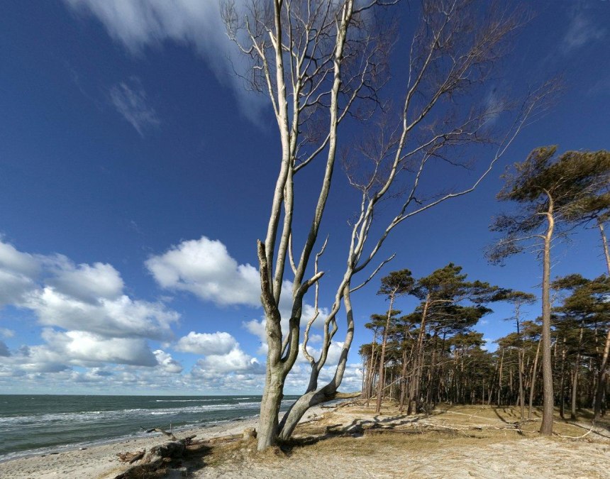 Zachodnia plaża, © TV FDZ