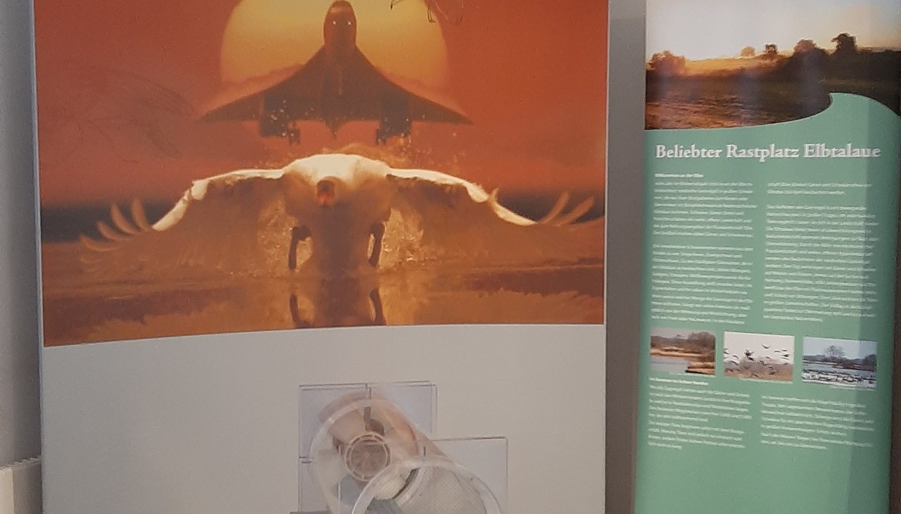 interactieve tentoonstelling, © Biosphaerium Elbtalaue