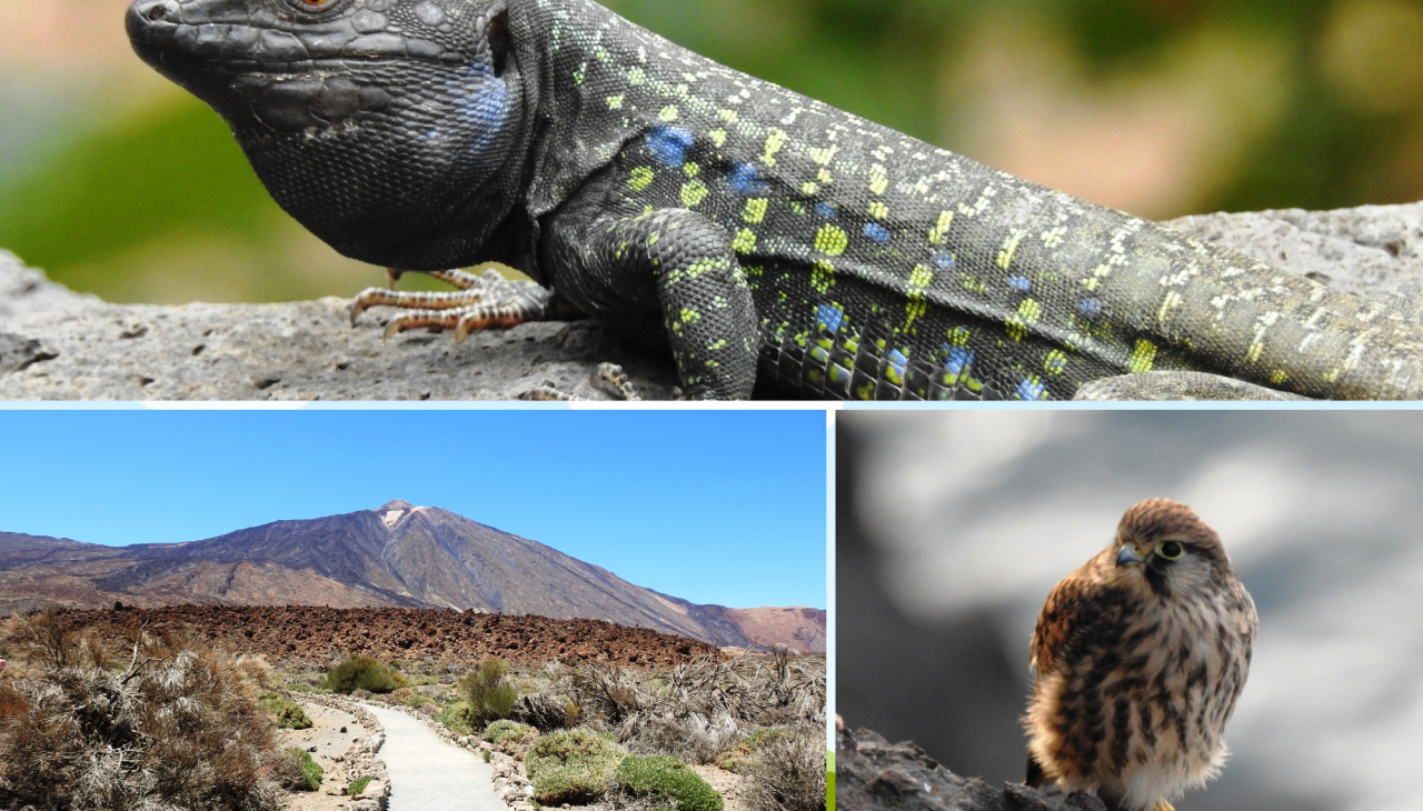 JB_Bilder f&uuml;r Website VA Kalender (2), &copy; Regionalbiblbiothek Neubrandenburg