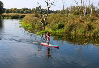 With the SUP - Stand Up Paddle Board on the Peene near Demmin on the way in Mecklenburg-Vorpommern.
Mecklenburg Lake District, © TMV/Sebastian Hugo Witzel With the SUP - Stand Up Paddle Board on the Peene near Demmin on the way in Mecklenburg-Vorpommern.
Mecklenburg Lake District, © TMV/Sebastian Hugo Witzel