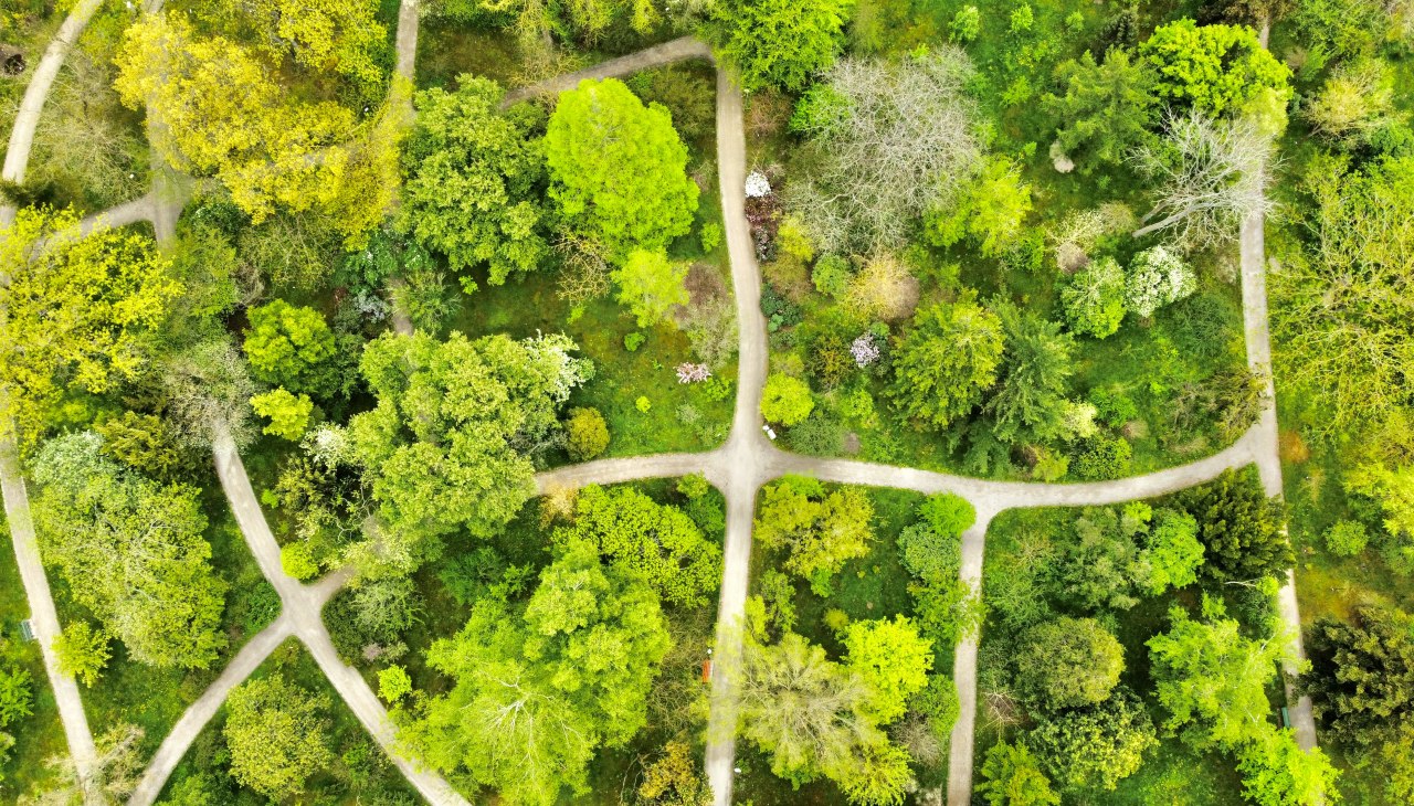 Arboretum@Koch, © Gudrun Koch