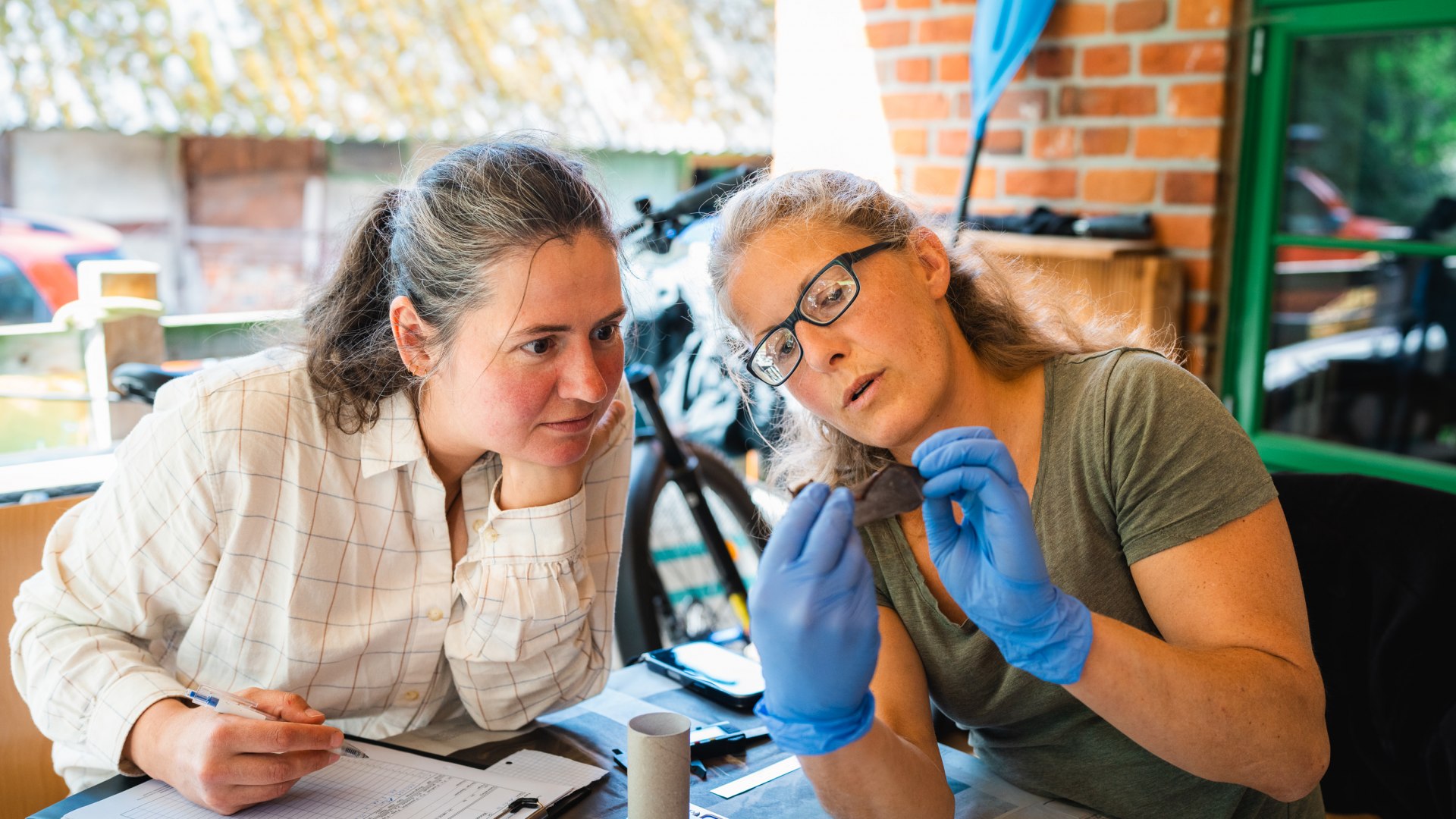 Zwei Frauen prüfen eine Fledermaus in blauen Handschuhen und notieren Daten am Tisch in einer Naturschutzstation. // W stacji ochrony przyrody nietoperz spokojnie leży w dłoniach, podczas gdy odnotowuje się jego gatunek i dane – praca zespołowa na rzecz ochrony przyrody w Meklemburgii-Pomorzu Przednim. // © MV-T/Gross Zwei Frauen prüfen eine Fledermaus in blauen Handschuhen und notieren Daten am Tisch in einer Naturschutzstation. // W stacji ochrony przyrody nietoperz spokojnie leży w dłoniach, podczas gdy odnotowuje się jego gatunek i dane – praca zespołowa na rzecz ochrony przyrody w Meklemburgii-Pomorzu Przednim. // © MV-T/Gross
