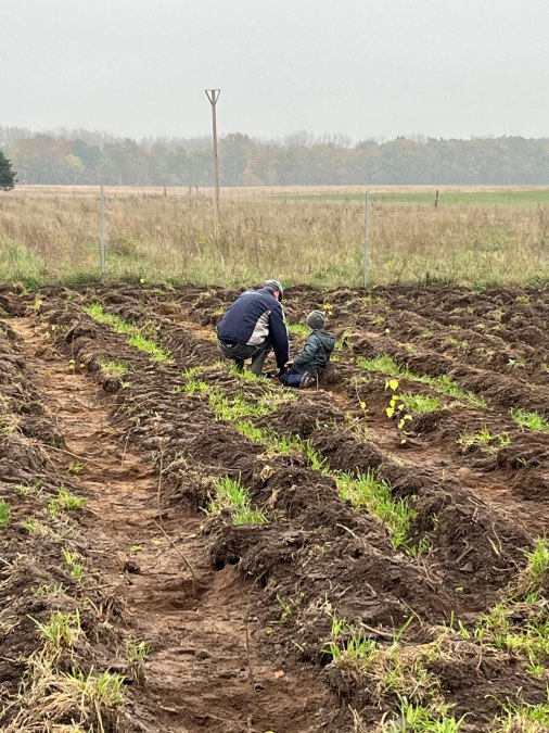 Las klimatyczny Dreschvitz - kampania sadzenia jesienią 2024 r., © Landesforst MV