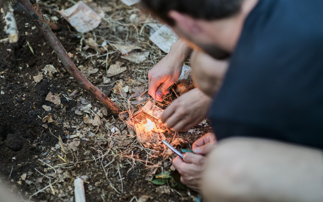 Wildersehen outdoor experiences in Rostock, © Fabio Moriondo