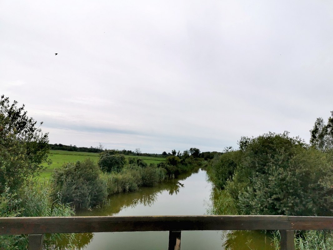 Rest area on the Dahmer Canal_2 // &copy; E-Bike MV