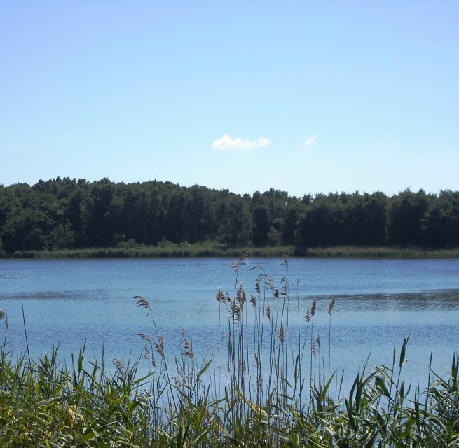 © 201547.jpg © 201547.jpg