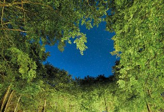 &copy; Kurverwaltung Sellin