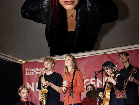 &copy; Foto: Erla Ziska (jazzygold), Foto: Anna Rylander (Wonders of Stevie)