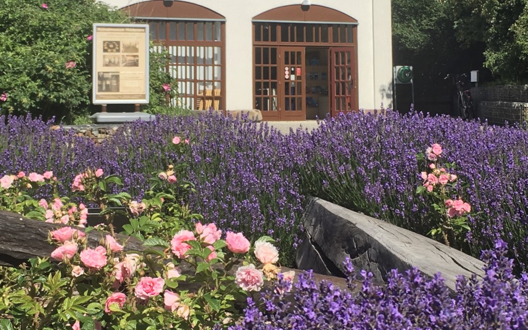 Lokaal historisch museum (zomer 2019), © Hafen- und Kurbetrieb