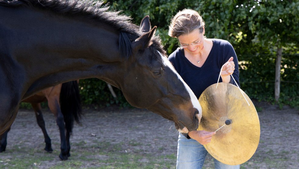 Sabine Schnabel - SOUND FOR HORSES: Light of the North and GOOD VIBRATIONS - Pure Relaxation..., © Anika Büssemeier