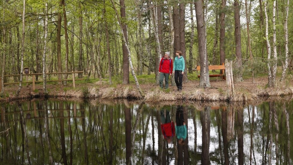 Wędrowcy nad jeziorem wrzosowiskowym na dużym wrzosowisku Ribnitz // © MV-T/outdoor-visions.com Wędrowcy nad jeziorem wrzosowiskowym na dużym wrzosowisku Ribnitz // © MV-T/outdoor-visions.com