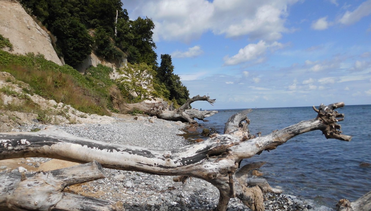 Steile kust bij Sassnitz, © C.Rühle