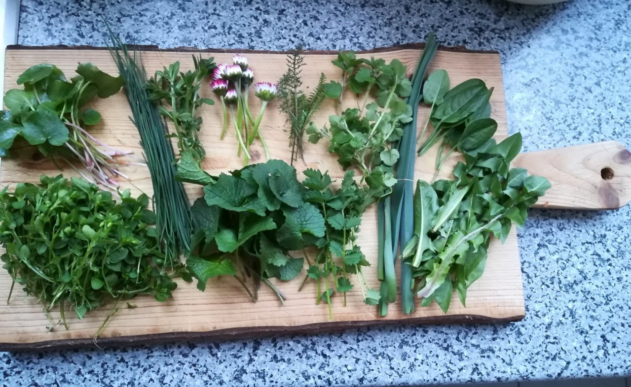 © Britta Daedelow-Seydl © Britta Daedelow-Seydl