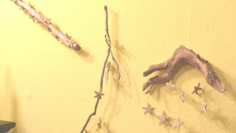 Telefon kom&oacute;rkowy z rozgwiazdą z Morza Bałtyckiego, &copy; Marie-Luise Merkle