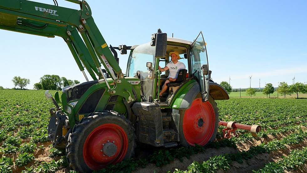Werken aan de hufe8, © Holger Martens