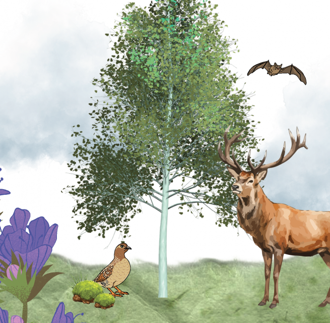 Grafik mit Canva erstellt // &copy; M&uuml;ritzeum