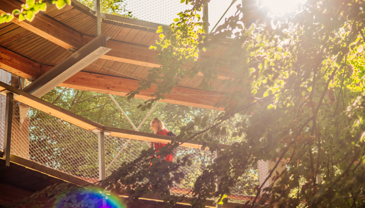 Wycieczka rodzinna: NaturZauber, &copy; Binzer Bucht Tourismus