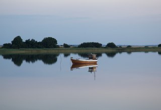 Idyllic view - almost the entire shore is surrounded by reeds, © Tourismuszentrale Rügen GmbH
