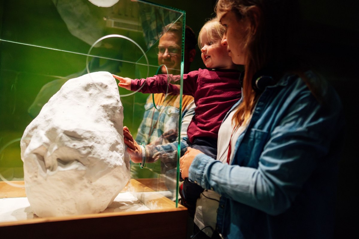 Een binnenruimte waarin mensen samen een tentoonstelling bekijken en aanraken. // © Nationalpark-Zentrum KÖNIGSSTUHL / Dan Petermann Een binnenruimte waarin mensen samen een tentoonstelling bekijken en aanraken. // © Nationalpark-Zentrum KÖNIGSSTUHL / Dan Petermann