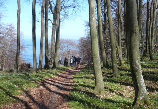 Fr&uuml;hlingswanderung // &copy; Touristik Lohme