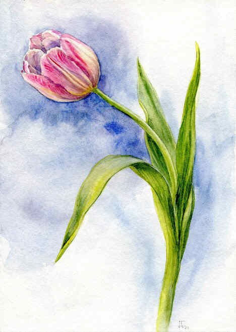 © Jenny Thalheim © Jenny Thalheim