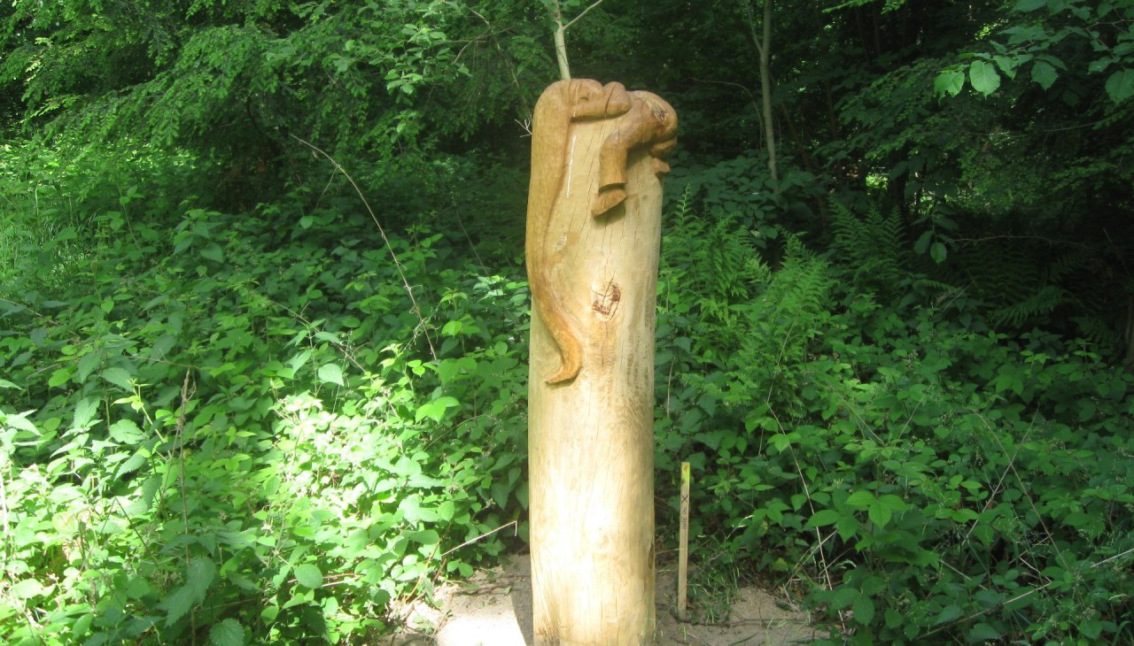 W rajskim ogrodzie, © Landesforst W rajskim ogrodzie, © Landesforst