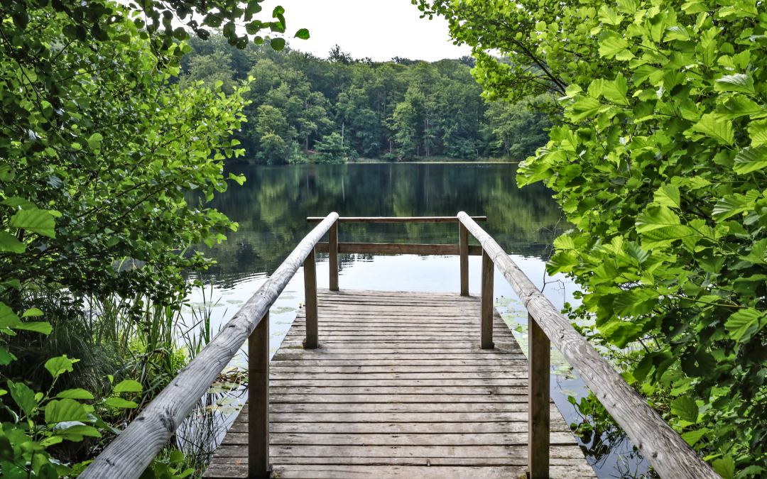 zwart-meer-in-de-granitz, © TMV/Gohlke
