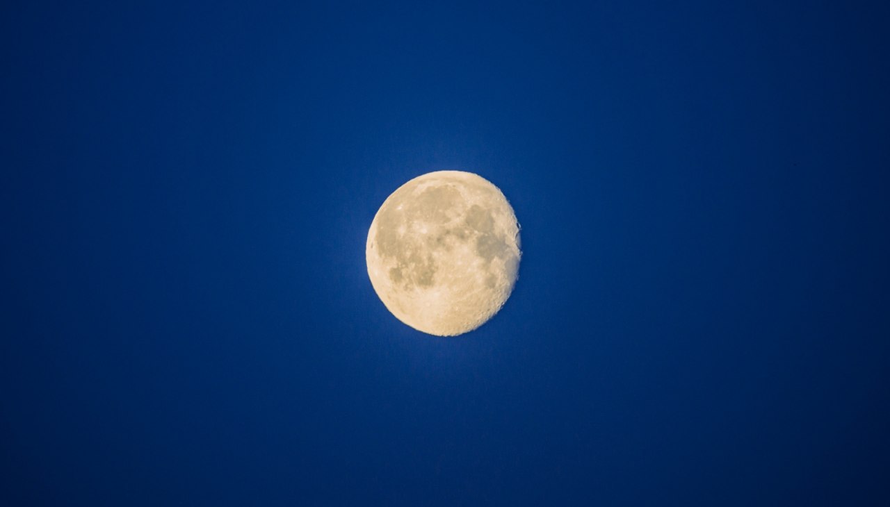 Volle maan op de boomtoppenwandeling, © Binzer Bucht Tourismus