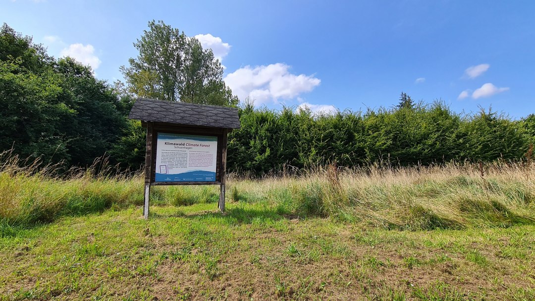 Las klimatyczny Schuenhagen, © Landesforst MV