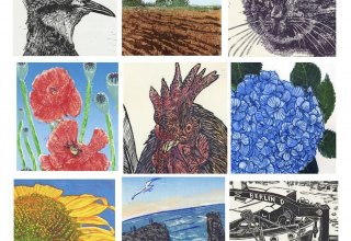 &copy; Anne Ammerstorfer