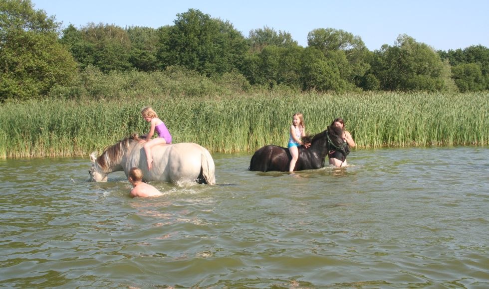 Verfrissing voor paard en ruiter op Anika's vakantie- en avonturenboerderij, © Anikas Urlaubs- und Erlebnishof/ Markgraf