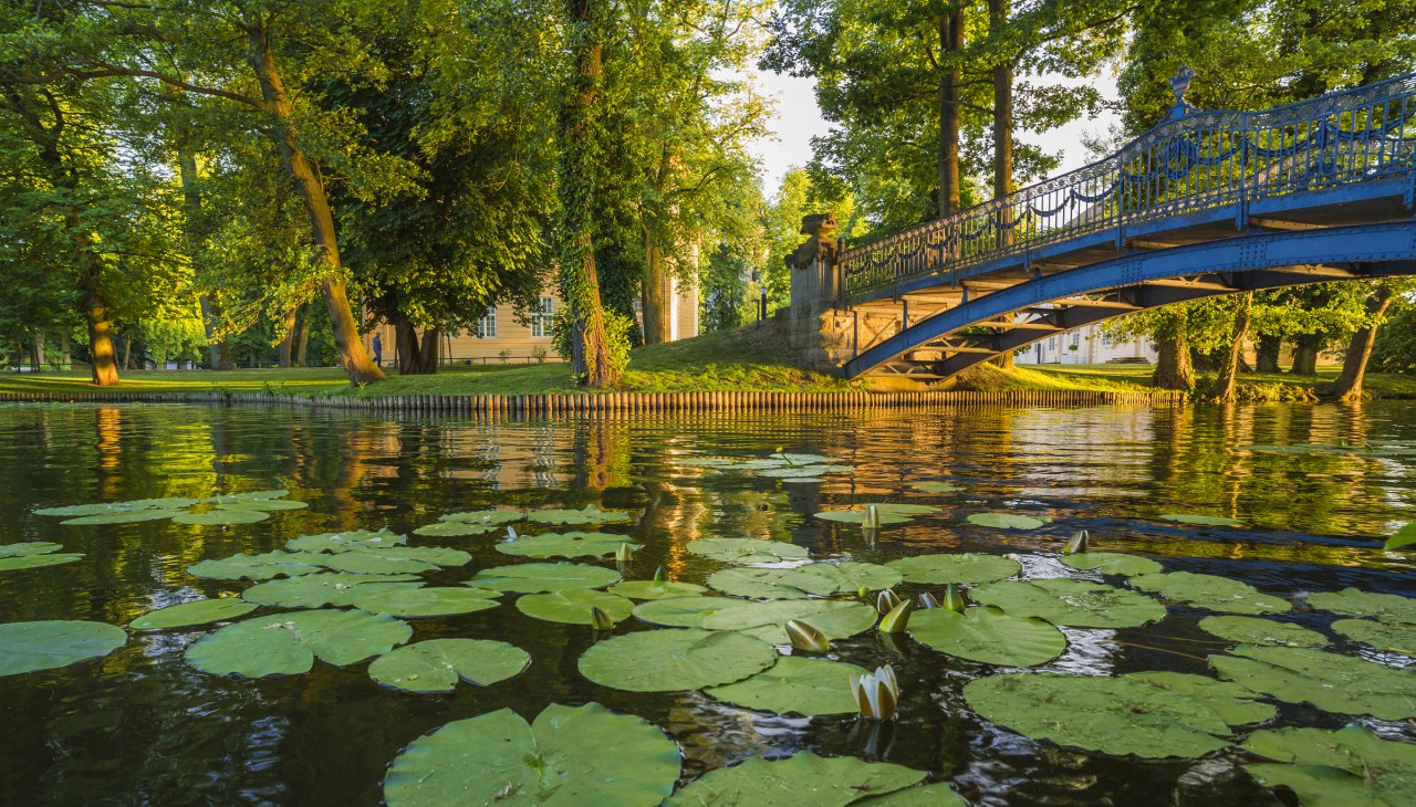 In the park of Mirow castle, © SSGK M-V / Timm Allrich In the park of Mirow castle, © SSGK M-V / Timm Allrich