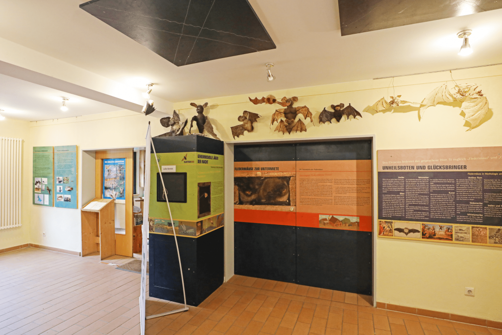 Nationalpark-Information "Flatterhus Kratzeburg"_3(1), &copy; TMV/Gohlke